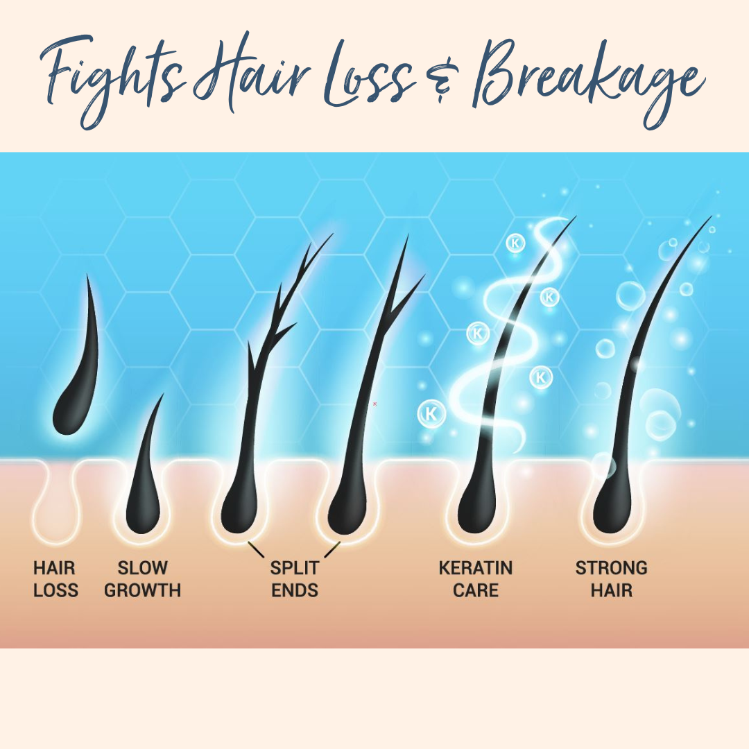 Biotin & Honey Shampoo Hair Care Products_Solutions