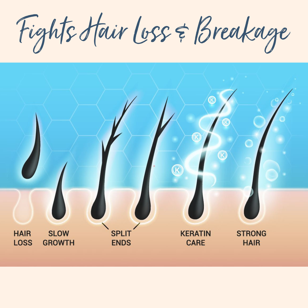Bundles & Bits Biotin Shampoo and Conditioner, Hair Solutions